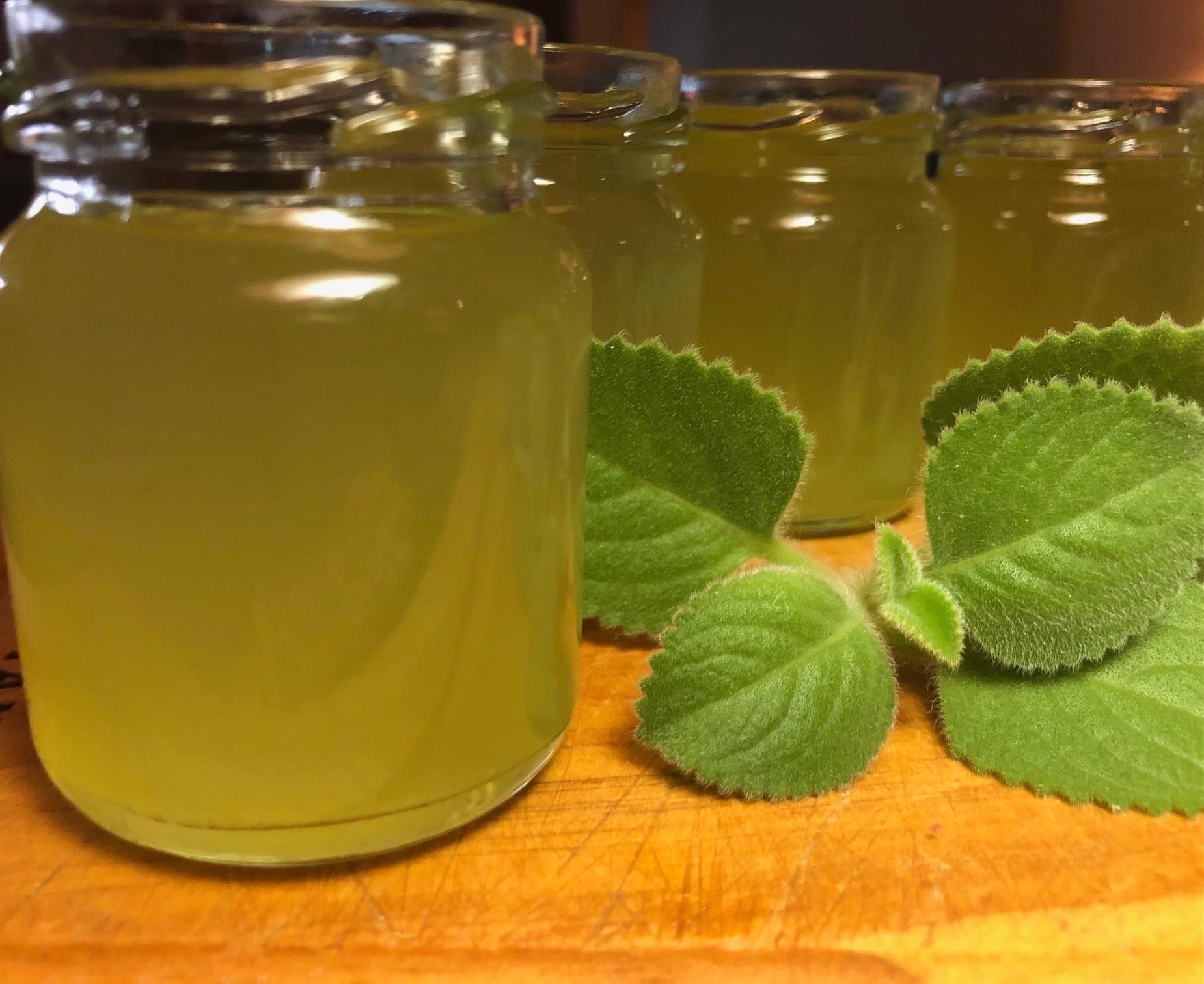 Rýmovníková mast proti nachlazení - aromamassage.cz